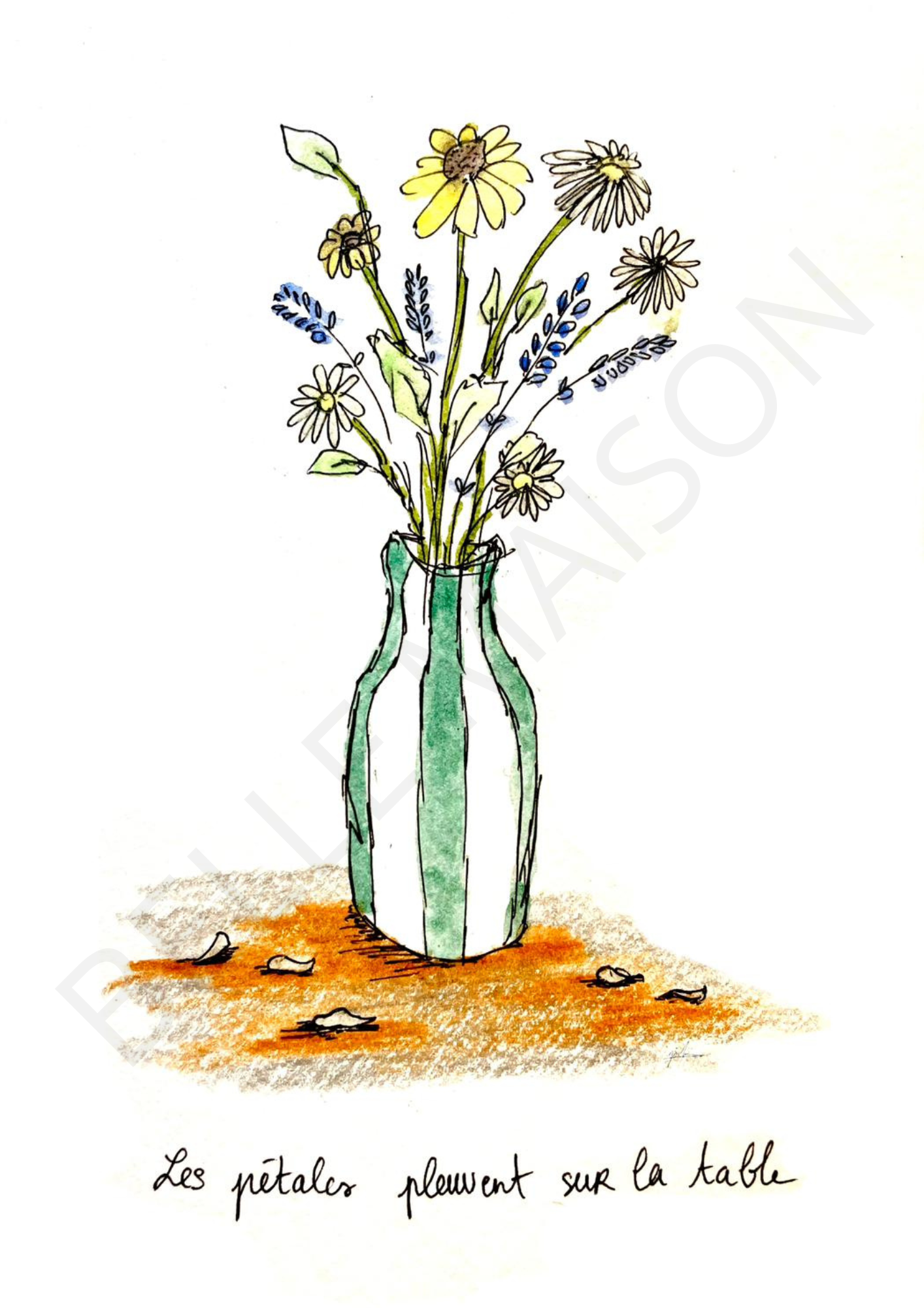 Illustration à l'aquarelle - Les pétales pleuvent sur la table