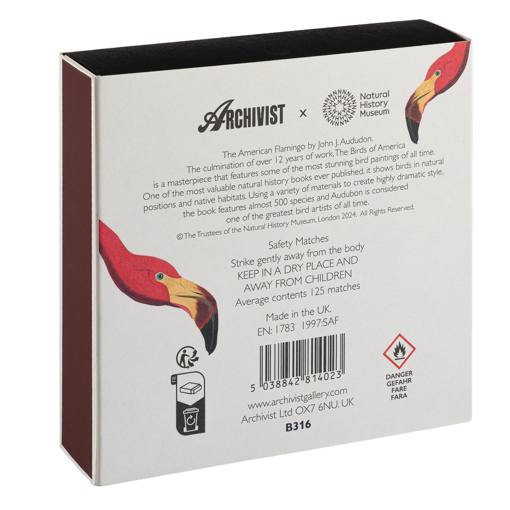 Allumettes American Flamingo