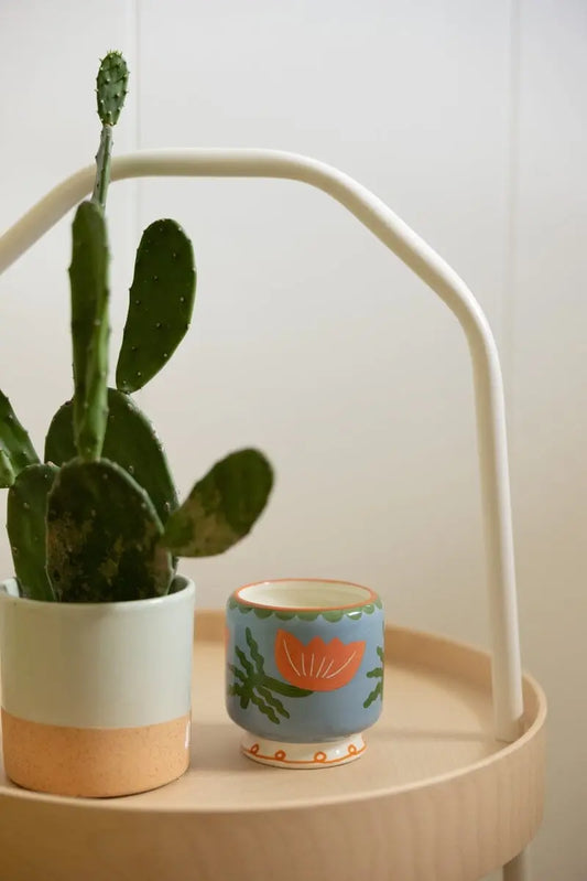 Bougie A Dopo! - Cactus Flower