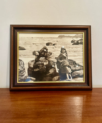 Photographie ancienne encadrée « Limpets » - objet chiné