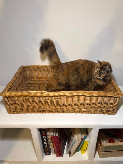 Panière de boulanger tressée - produit chiné