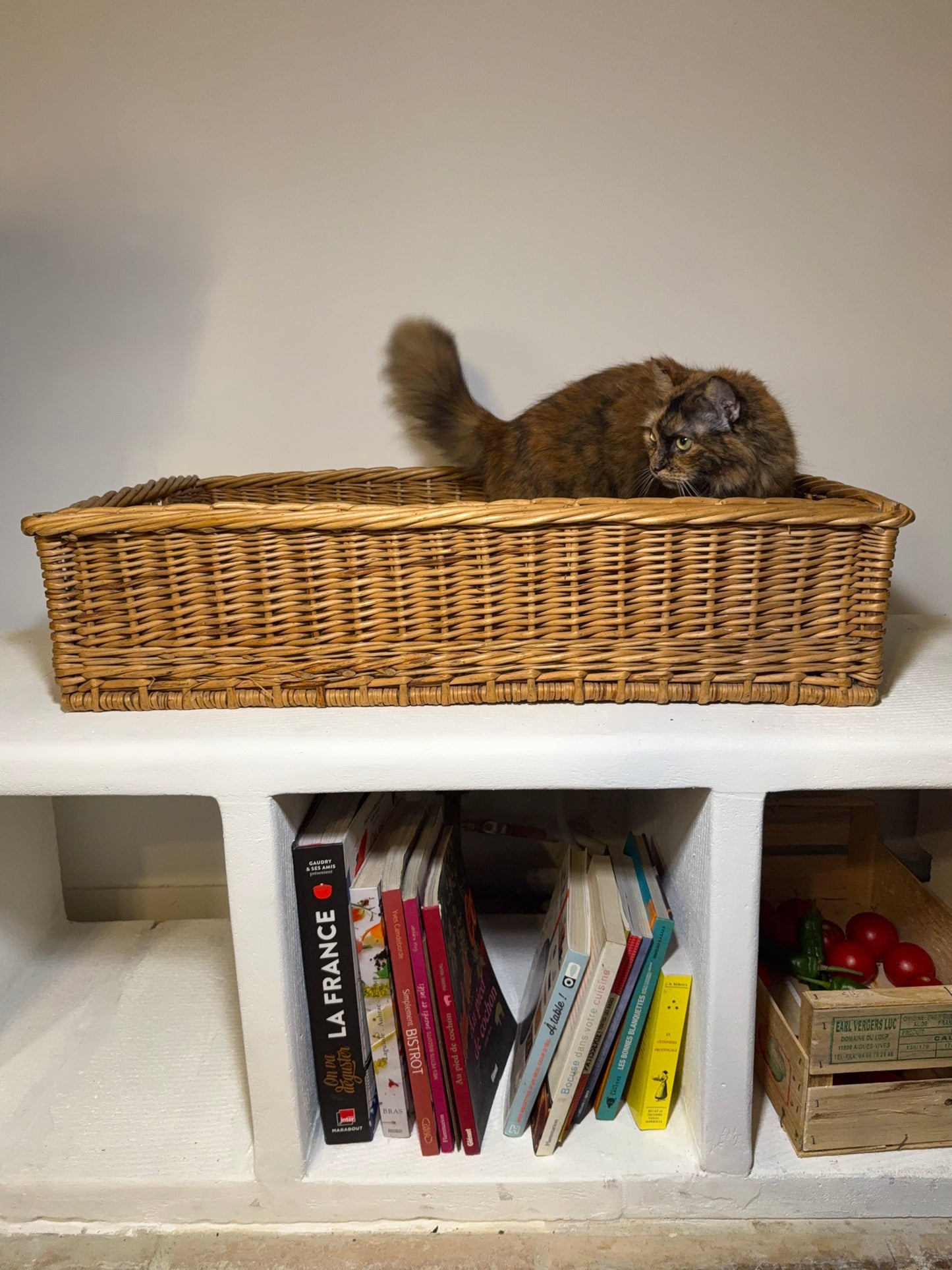 Panière de boulanger tressée - produit chiné