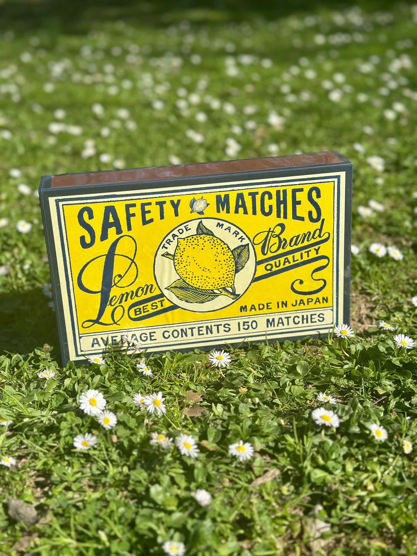 Allumettes XXL Lemon