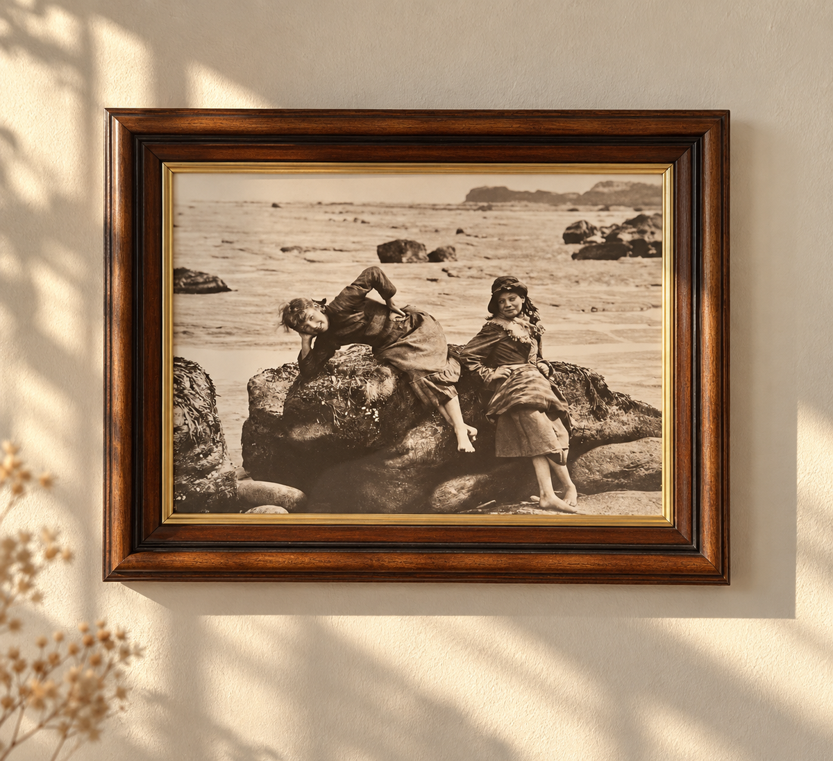 Photographie ancienne encadrée « Limpets » - objet chiné